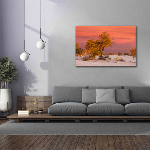 Image of 'White Sands Yellow Tree' by Mike Jones, Giclee Canvas Wall Art,60 x 40