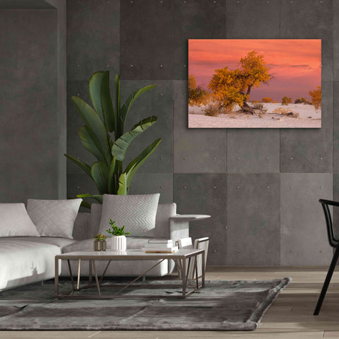 Image of 'White Sands Yellow Tree' by Mike Jones, Giclee Canvas Wall Art,60 x 40