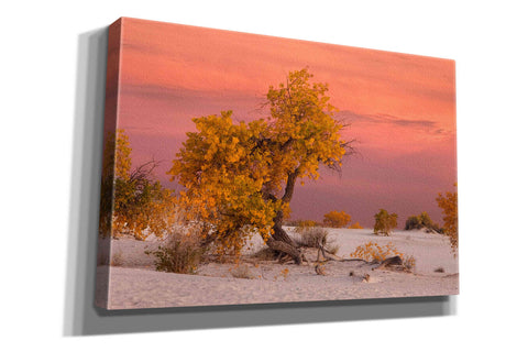 Image of 'White Sands Yellow Tree' by Mike Jones, Giclee Canvas Wall Art