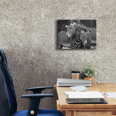 Image of 'Zebras' by Mike Jones, Giclee Canvas Wall Art,16 x 12