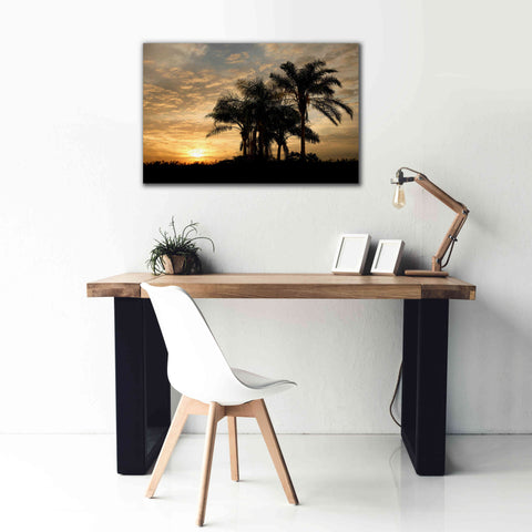 Image of 'Sunrise Experinemt' by Mike Jones, Giclee Canvas Wall Art,40 x 26