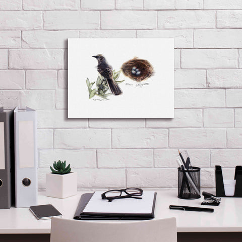 Image of 'Bird & Nest Study I' by Bruce Dean, Giclee Canvas Wall Art,16x12
