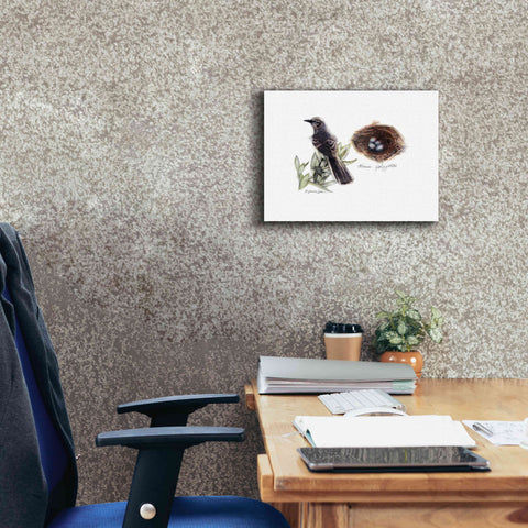 Image of 'Bird & Nest Study I' by Bruce Dean, Giclee Canvas Wall Art,16x12