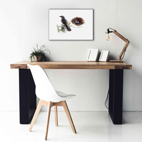 Image of 'Bird & Nest Study I' by Bruce Dean, Giclee Canvas Wall Art,26x18
