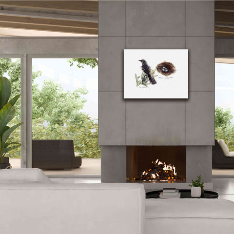 Image of 'Bird & Nest Study I' by Bruce Dean, Giclee Canvas Wall Art,34x26