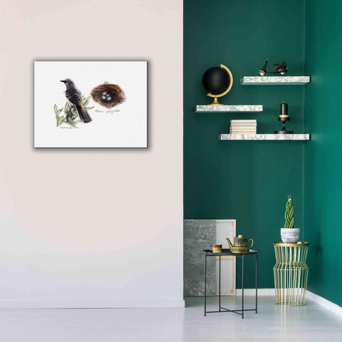 Image of 'Bird & Nest Study I' by Bruce Dean, Giclee Canvas Wall Art,34x26