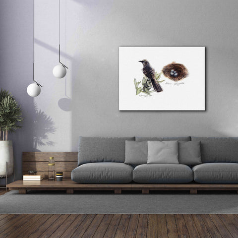 Image of 'Bird & Nest Study I' by Bruce Dean, Giclee Canvas Wall Art,54x40