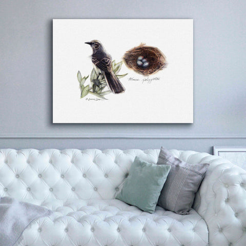 Image of 'Bird & Nest Study I' by Bruce Dean, Giclee Canvas Wall Art,54x40
