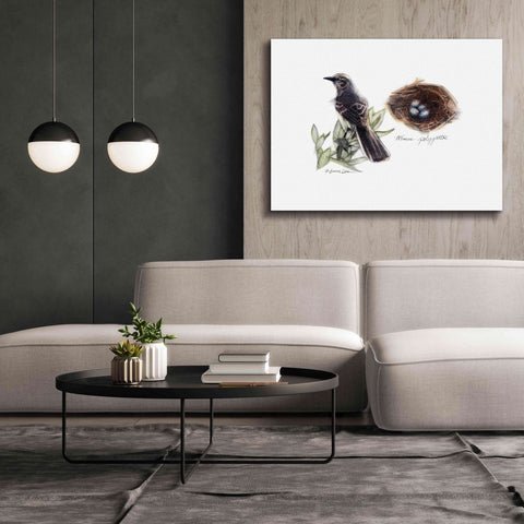 Image of 'Bird & Nest Study I' by Bruce Dean, Giclee Canvas Wall Art,54x40