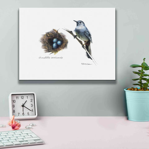 Image of 'Bird & Nest Study II' by Bruce Dean, Giclee Canvas Wall Art,16x12