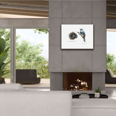 Image of 'Bird & Nest Study II' by Bruce Dean, Giclee Canvas Wall Art,34x26
