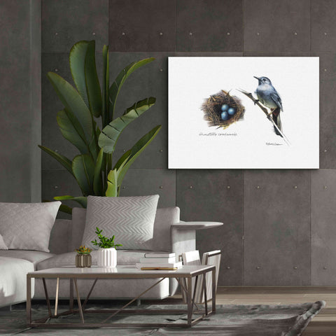 Image of 'Bird & Nest Study II' by Bruce Dean, Giclee Canvas Wall Art,54x40