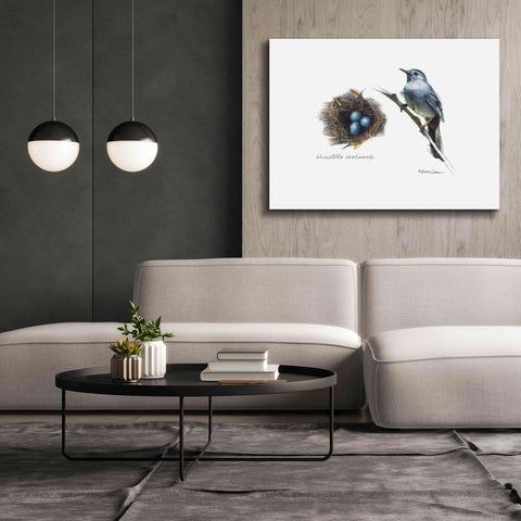 Image of 'Bird & Nest Study II' by Bruce Dean, Giclee Canvas Wall Art,54x40