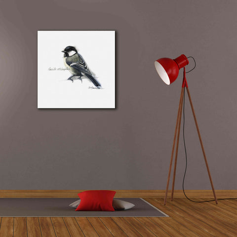 Image of 'Songbird Study II' by Bruce Dean, Giclee Canvas Wall Art,26x26