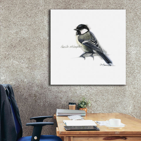 Image of 'Songbird Study II' by Bruce Dean, Giclee Canvas Wall Art,37x37