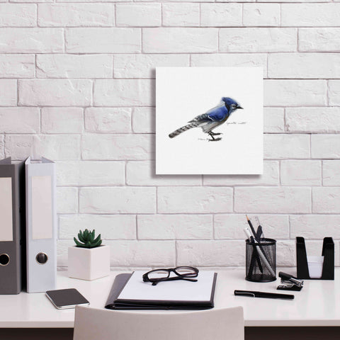 Image of 'Songbird Study III' by Bruce Dean, Giclee Canvas Wall Art,12x12