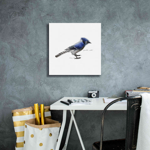 Image of 'Songbird Study III' by Bruce Dean, Giclee Canvas Wall Art,18x18