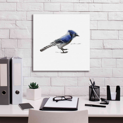 Image of 'Songbird Study III' by Bruce Dean, Giclee Canvas Wall Art,18x18