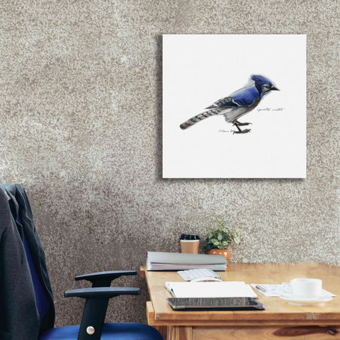 Image of 'Songbird Study III' by Bruce Dean, Giclee Canvas Wall Art,26x26