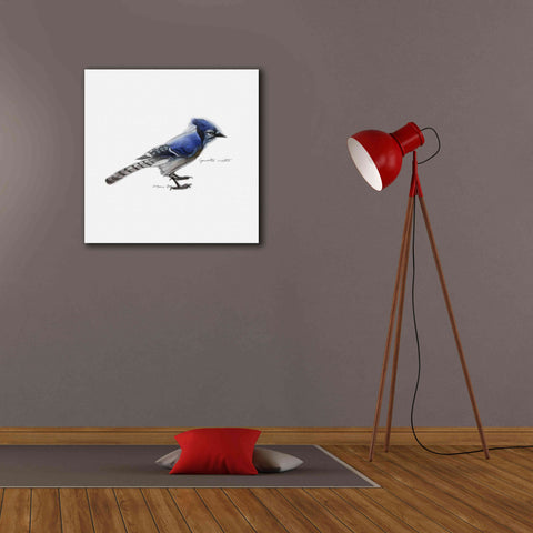 Image of 'Songbird Study III' by Bruce Dean, Giclee Canvas Wall Art,26x26