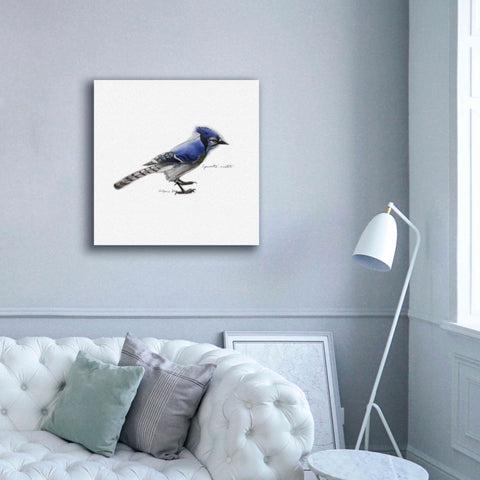 Image of 'Songbird Study III' by Bruce Dean, Giclee Canvas Wall Art,37x37