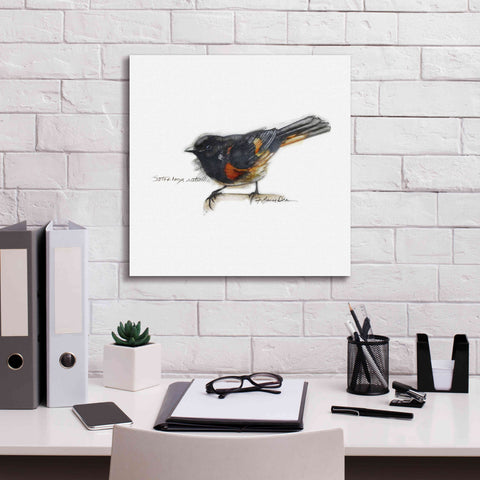 Image of 'Songbird Study IV' by Bruce Dean, Giclee Canvas Wall Art,18x18