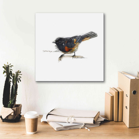 Image of 'Songbird Study IV' by Bruce Dean, Giclee Canvas Wall Art,18x18
