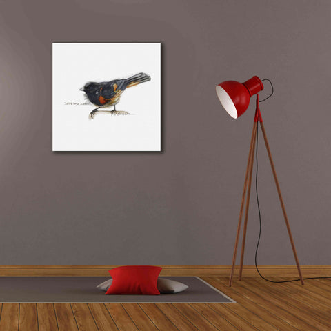 Image of 'Songbird Study IV' by Bruce Dean, Giclee Canvas Wall Art,26x26