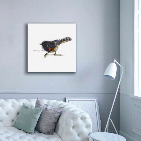 Image of 'Songbird Study IV' by Bruce Dean, Giclee Canvas Wall Art,37x37