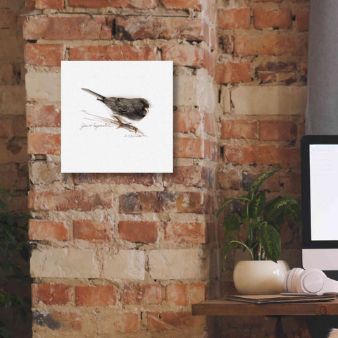 Image of 'Songbird Study V' by Bruce Dean, Giclee Canvas Wall Art,12x12