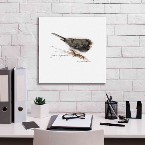 Image of 'Songbird Study V' by Bruce Dean, Giclee Canvas Wall Art,18x18