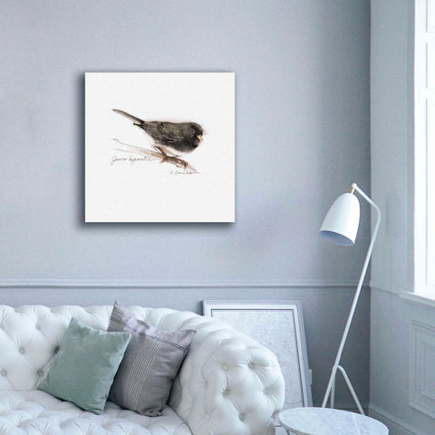 Image of 'Songbird Study V' by Bruce Dean, Giclee Canvas Wall Art,37x37