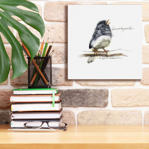 Image of 'Songbird Study VI' by Bruce Dean, Giclee Canvas Wall Art,12x12