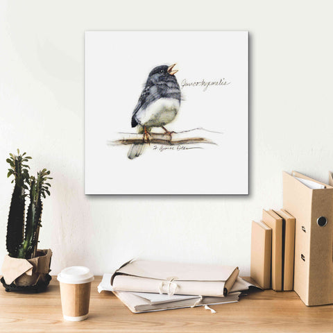 Image of 'Songbird Study VI' by Bruce Dean, Giclee Canvas Wall Art,18x18