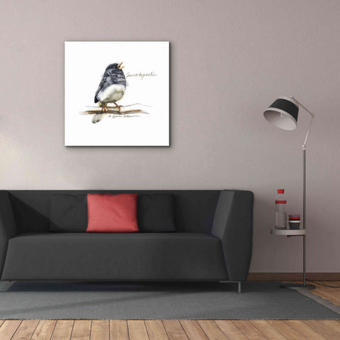 Image of 'Songbird Study VI' by Bruce Dean, Giclee Canvas Wall Art,37x37