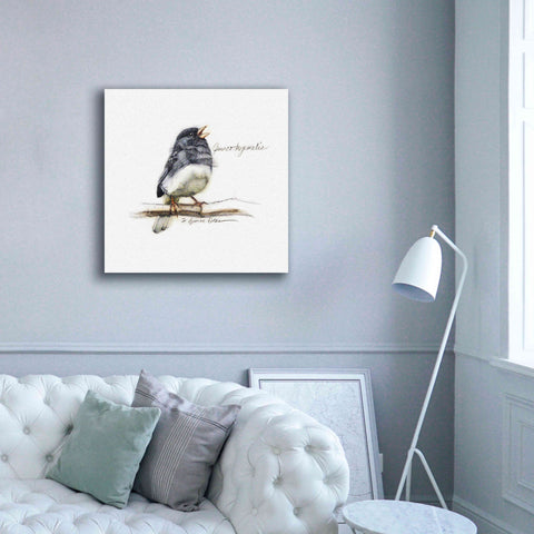 Image of 'Songbird Study VI' by Bruce Dean, Giclee Canvas Wall Art,37x37