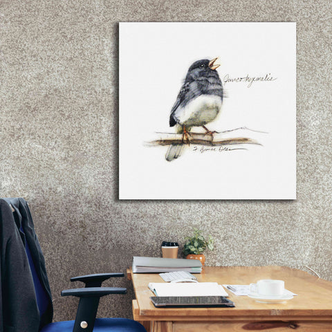 Image of 'Songbird Study VI' by Bruce Dean, Giclee Canvas Wall Art,37x37