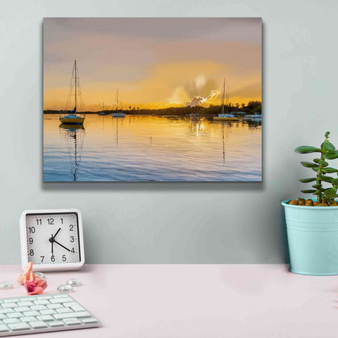 Image of 'In the Golden Light IV' by Emily Kalina, Giclee Canvas Wall Art,16 x 12