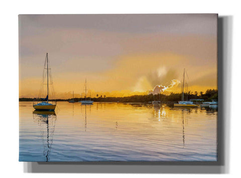Image of 'In the Golden Light IV' by Emily Kalina, Giclee Canvas Wall Art