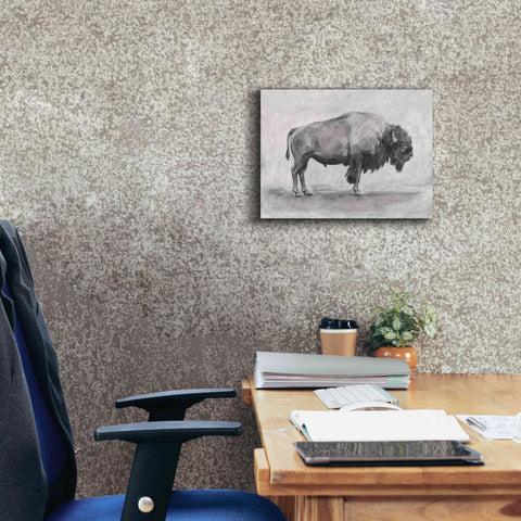 Image of 'Wild Bison Study I' by Emma Scarvey, Giclee Canvas Wall Art,16 x 12
