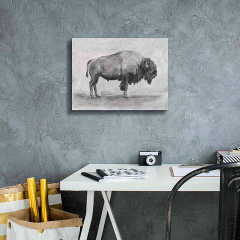 Image of 'Wild Bison Study I' by Emma Scarvey, Giclee Canvas Wall Art,16 x 12