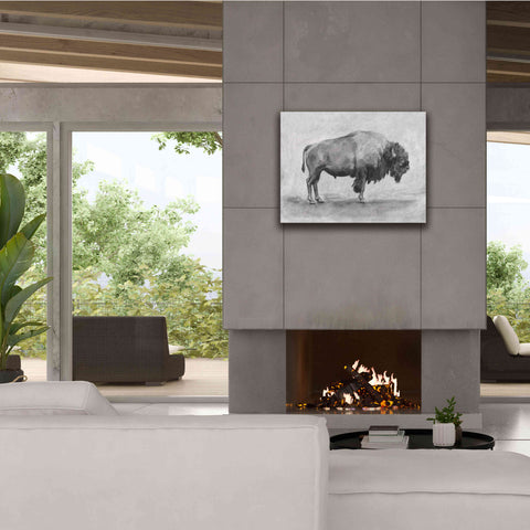 Image of 'Wild Bison Study I' by Emma Scarvey, Giclee Canvas Wall Art,34 x 26