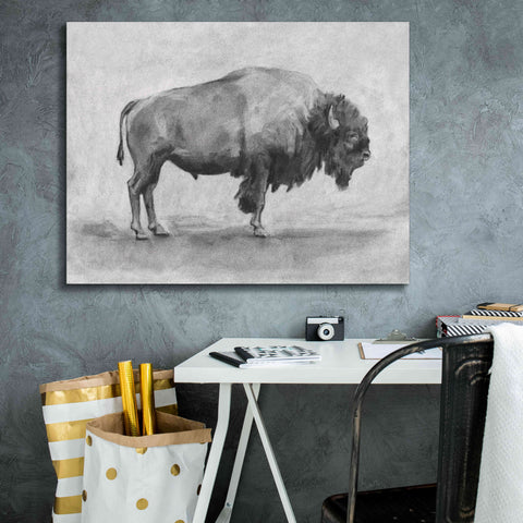 Image of 'Wild Bison Study I' by Emma Scarvey, Giclee Canvas Wall Art,34 x 26