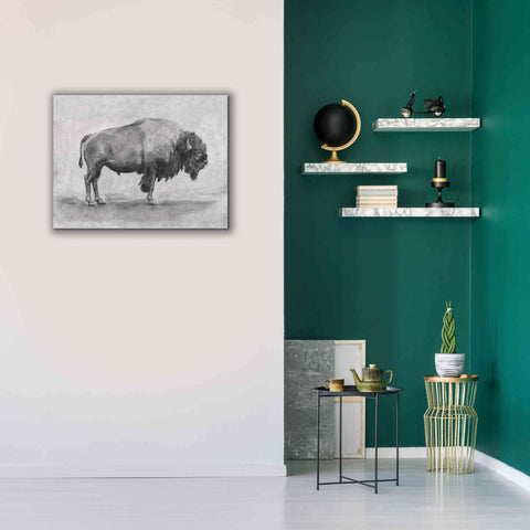 Image of 'Wild Bison Study I' by Emma Scarvey, Giclee Canvas Wall Art,34 x 26
