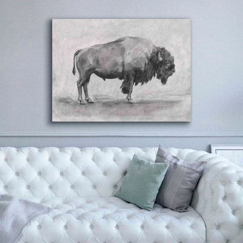 Image of 'Wild Bison Study I' by Emma Scarvey, Giclee Canvas Wall Art,54 x 40