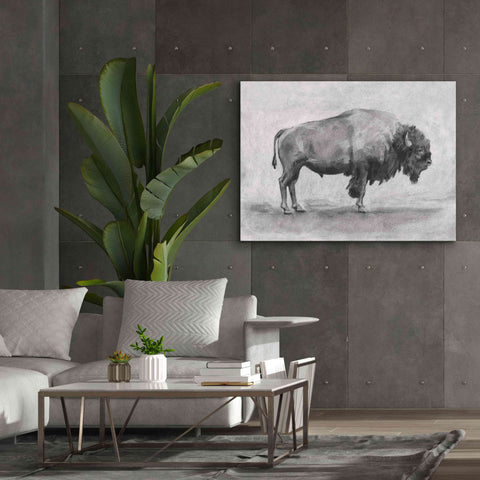 Image of 'Wild Bison Study I' by Emma Scarvey, Giclee Canvas Wall Art,54 x 40
