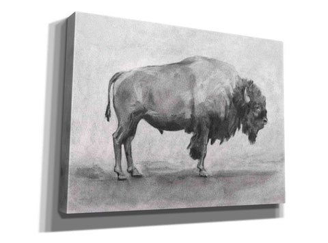 Image of 'Wild Bison Study I' by Emma Scarvey, Giclee Canvas Wall Art