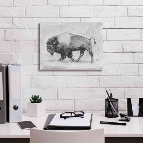 Image of 'Wild Bison Study II' by Emma Scarvey, Giclee Canvas Wall Art,16 x 12