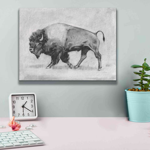 Image of 'Wild Bison Study II' by Emma Scarvey, Giclee Canvas Wall Art,16 x 12