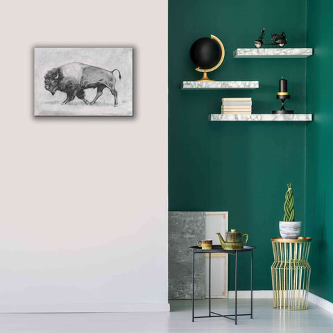 Image of 'Wild Bison Study II' by Emma Scarvey, Giclee Canvas Wall Art,26 x 18